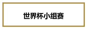 世界杯小组赛
