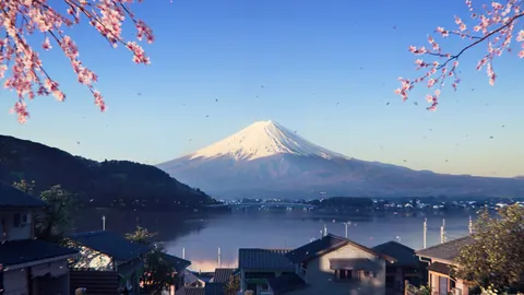 亞足聯12強賽抽簽結果揭曉，頭兩名球隊奪得錦標賽參賽資格。