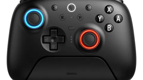 “樊振东事件引热议，上海体育局声明解读——中新社报道”